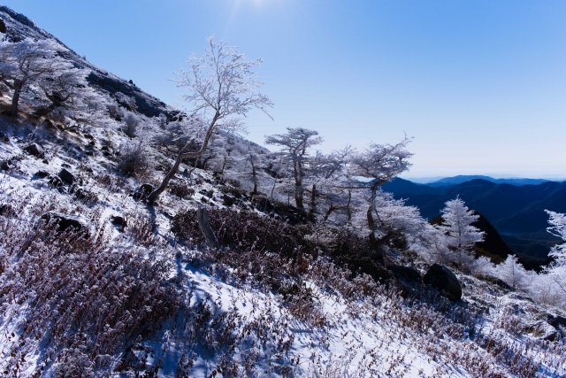 冬の山