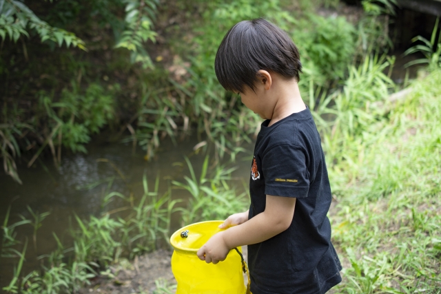 男の子